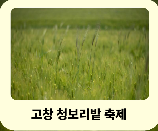 고창 청보리밭 축제 기본정보