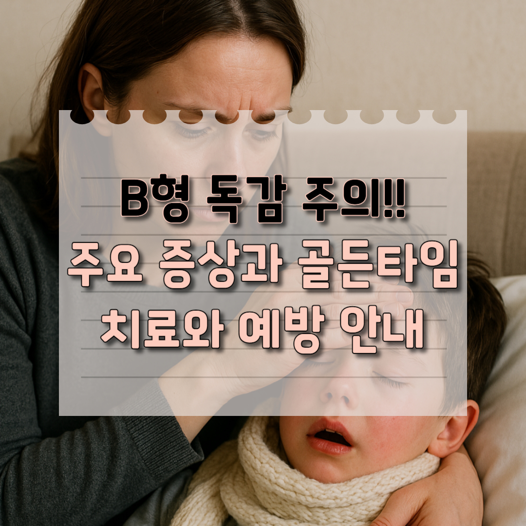 B형독감 주요 증상 골든타임 안내라는 제목을 나타내는 썸네일 이미지