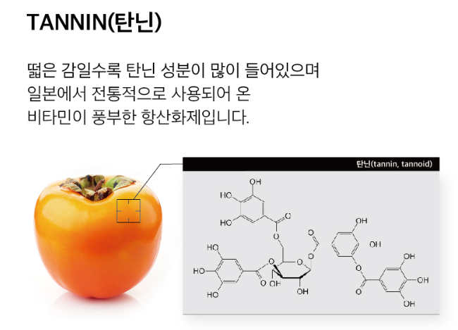 탄닌 성분