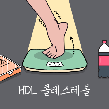 hdl 콜레스테롤