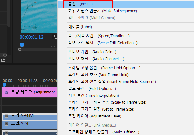 영상에 대해 중첩(Nest)