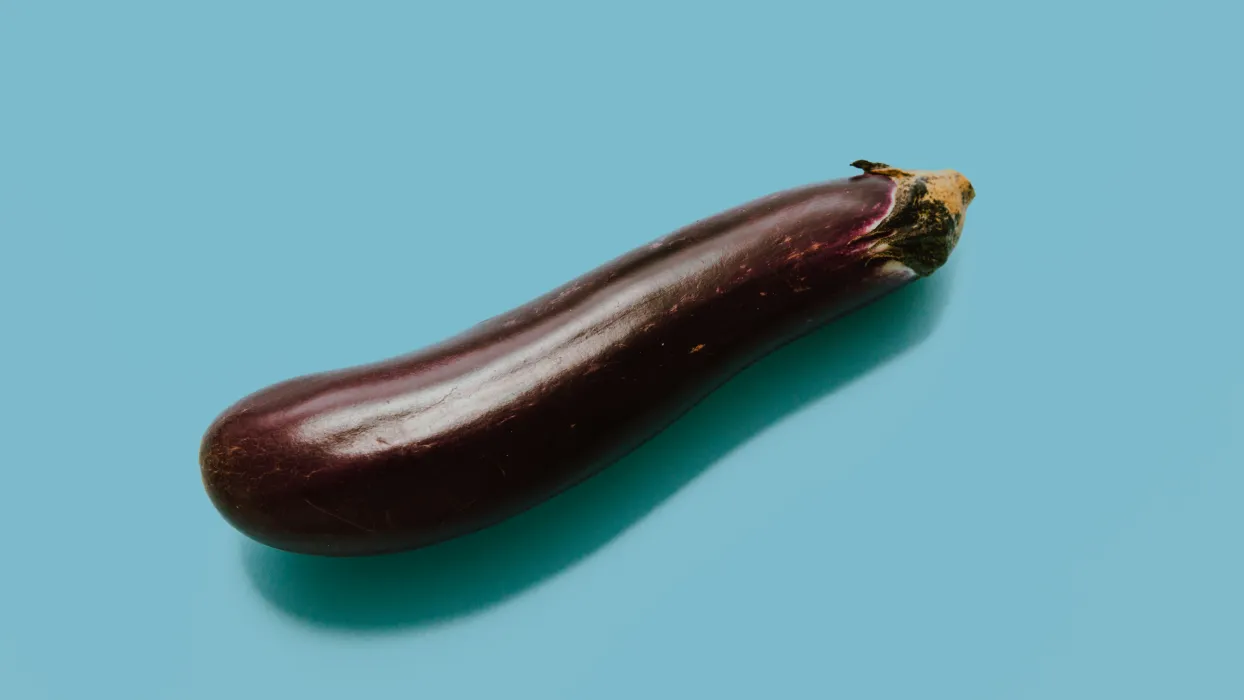 가지-사진