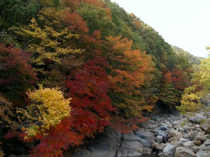 지리산 단풍시기