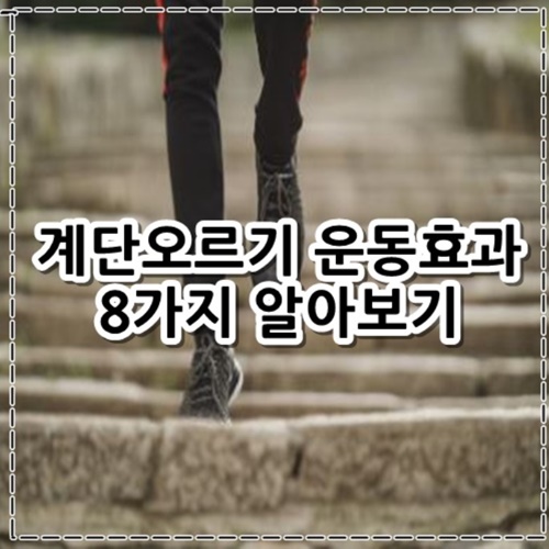 계단오르기 운동효과 8가지 정리