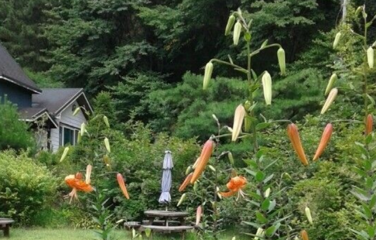 곤지암 반디숲