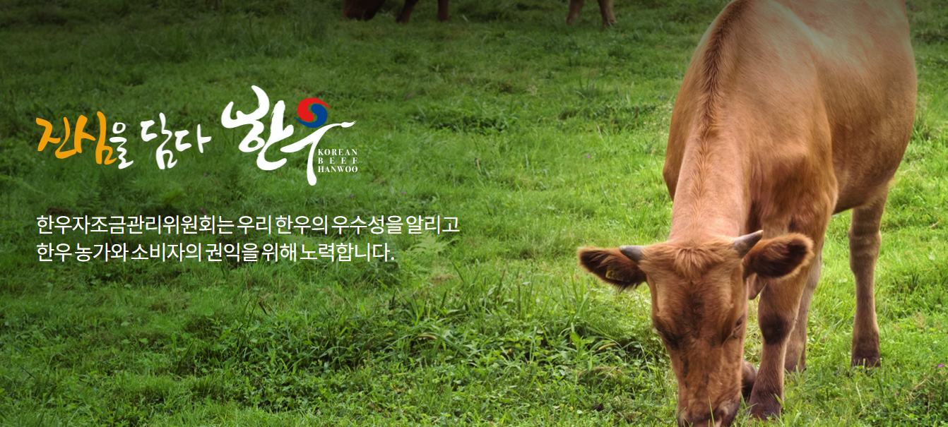 한우반값 소(牛)프라이즈 본격 휴가철 맞이 한우 최대 50%할인 행사