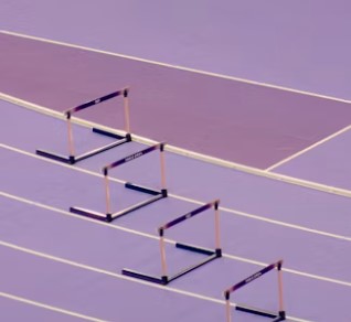 sports-festival