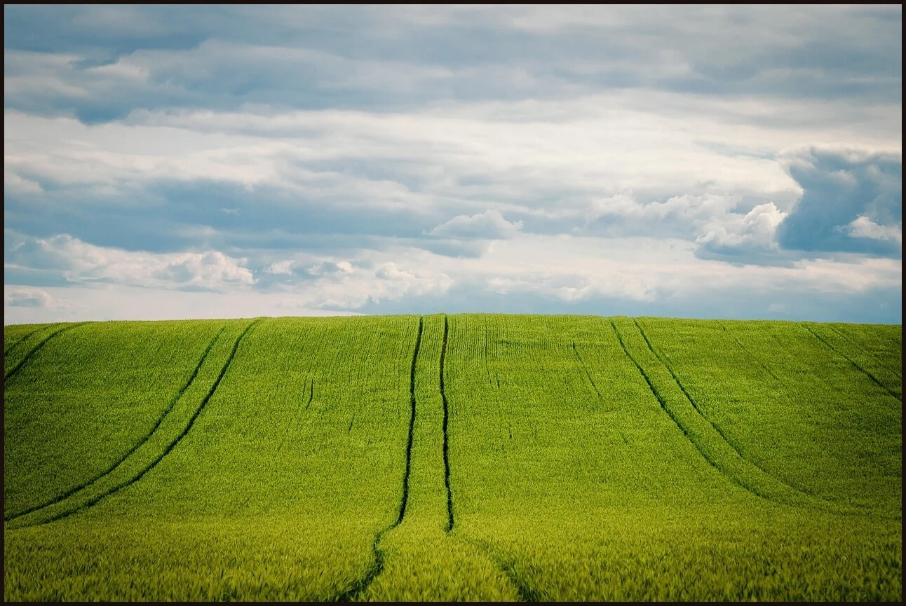 우체국 정기예금 금리