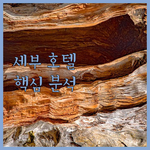 세부 호텔 추천 직원 친절도, 위치,