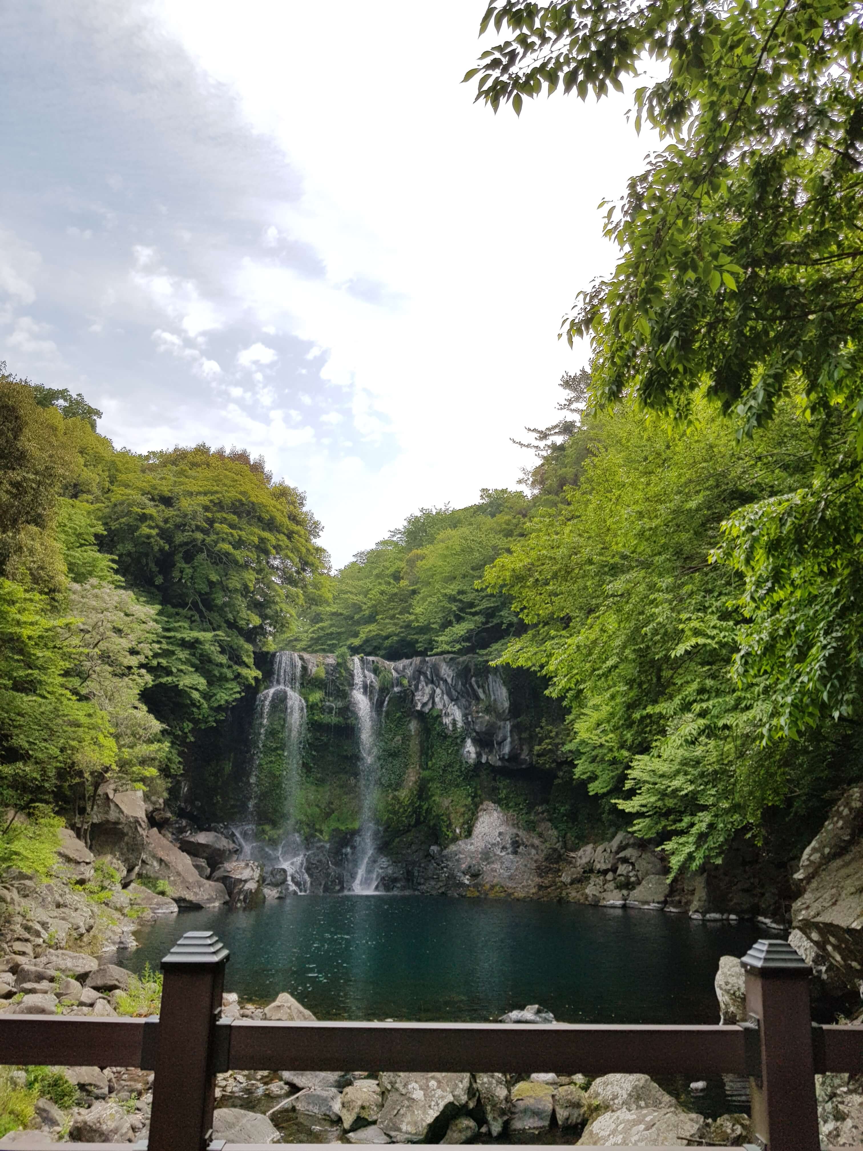 제주 동쪽 가족여행 (관광 동선&amp;#44; 맛집&amp;#44; 숙소)