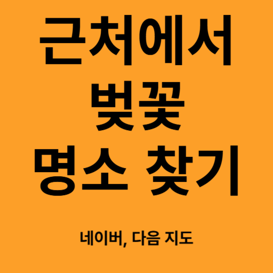 근처 벚꽃 명소 찾기