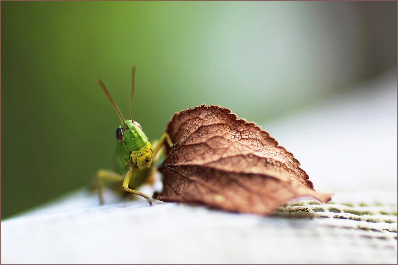 은행 예금금리비교