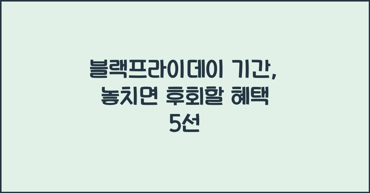 블랙프라이데이 기간