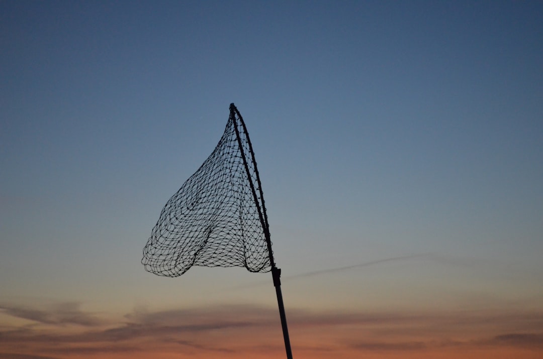 Safety net