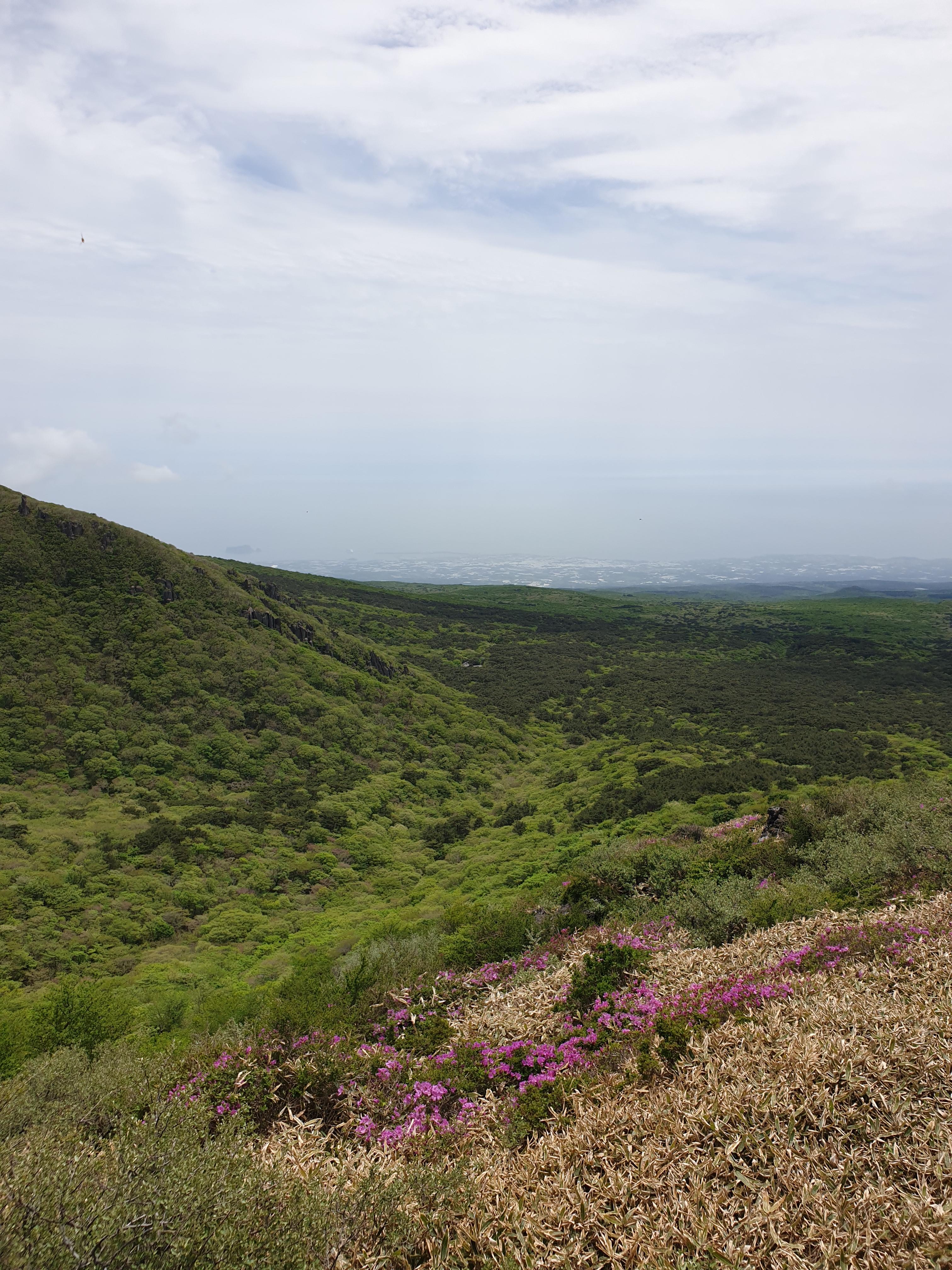 제주 한라산 등반 예약 방법