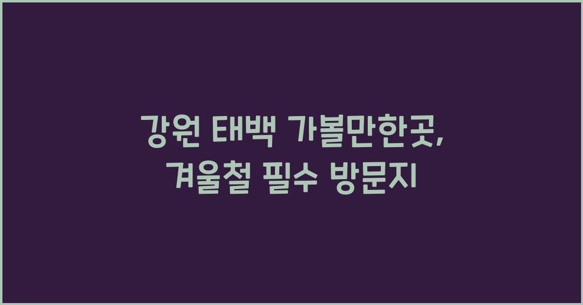 강원 태백 가볼만한곳