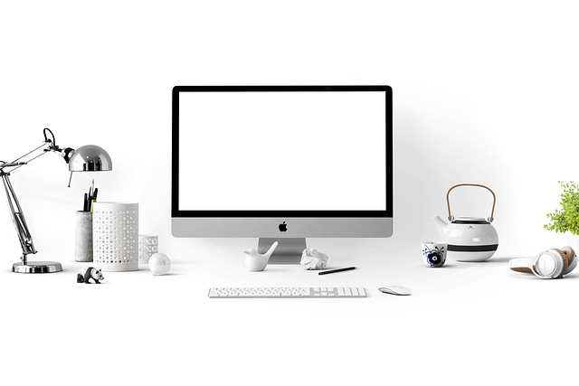 직장인 건강검진 대상자 조회