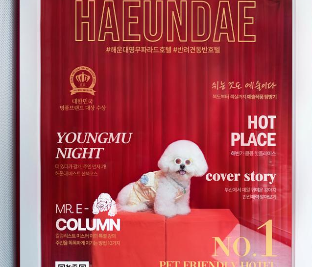 펫캉스 가능한 호텔 BEST 5