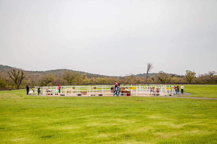 제주 에코랜드 테마파크