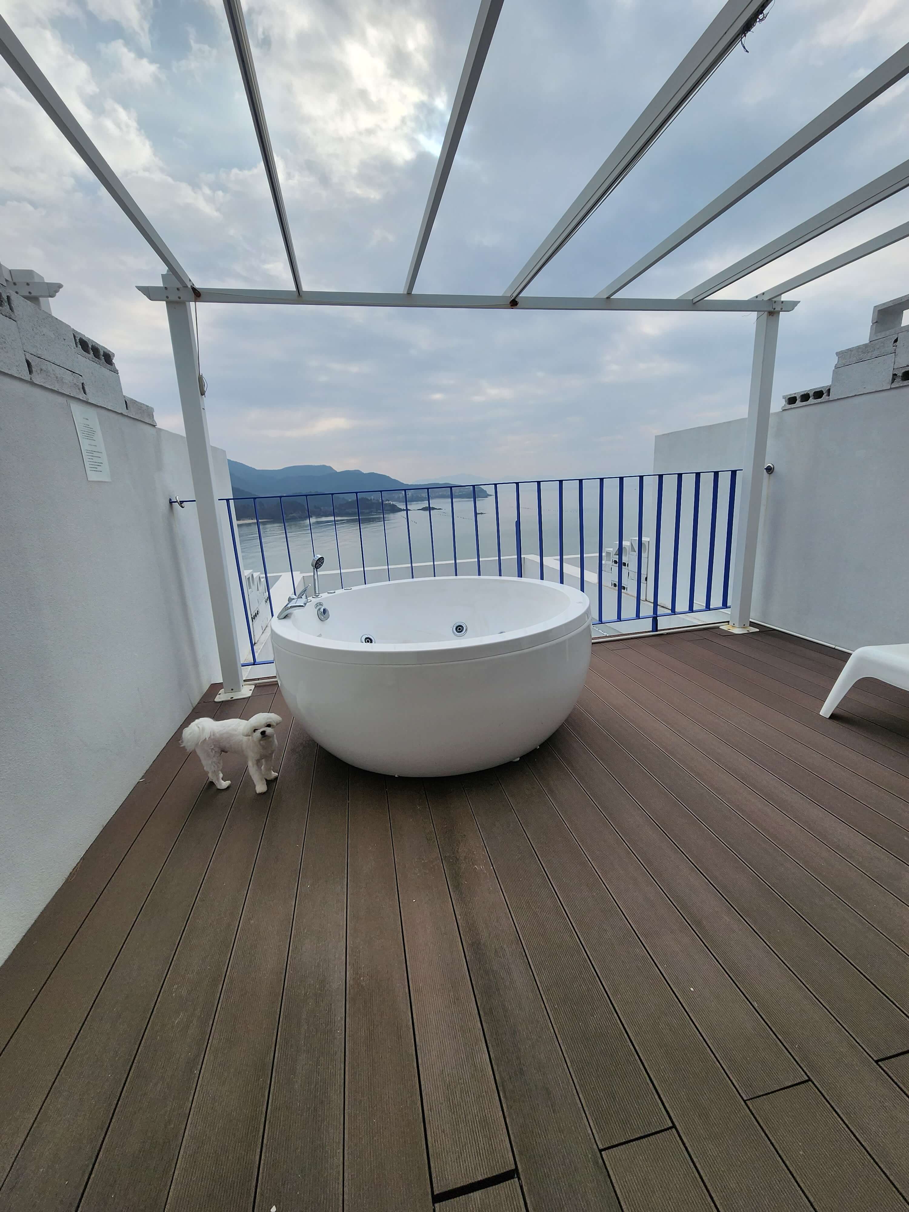 반려견과 변산반도여행 해시락풀빌라