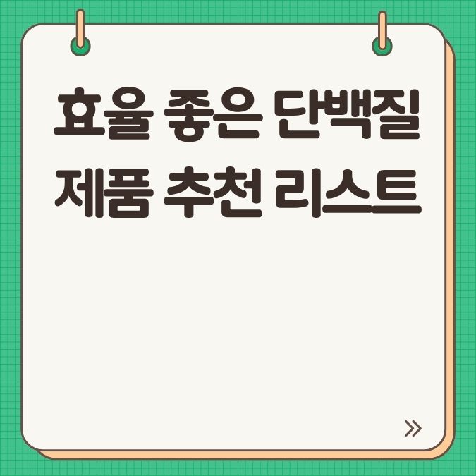 효율 좋은 단백질 제품 추천 리스트