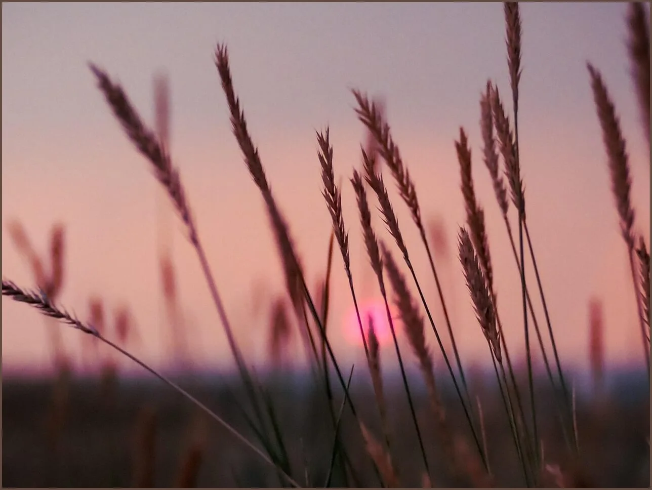 농협 예금금리 조회