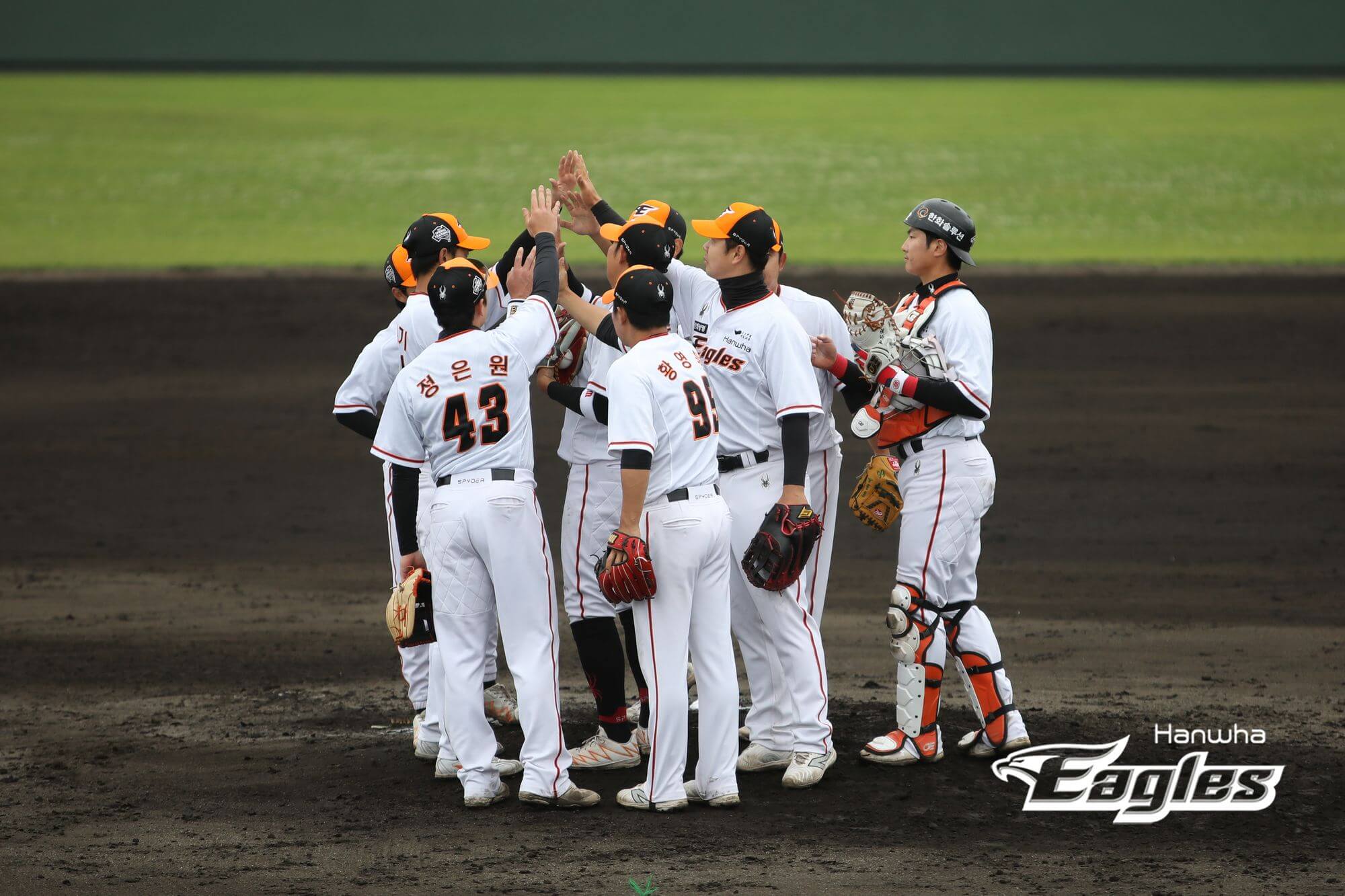 2024 한화 이글스 티켓 할인 예매&amp;#44; 무료 주차&amp;#44; 좌석 종류 및 특징&amp;#44; 경기일정 및 결과