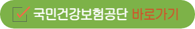 소상공인 정책자금 대리대출