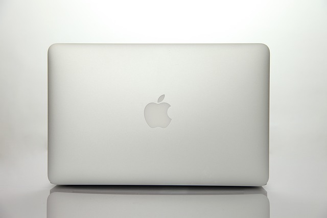 애플 (Apple)