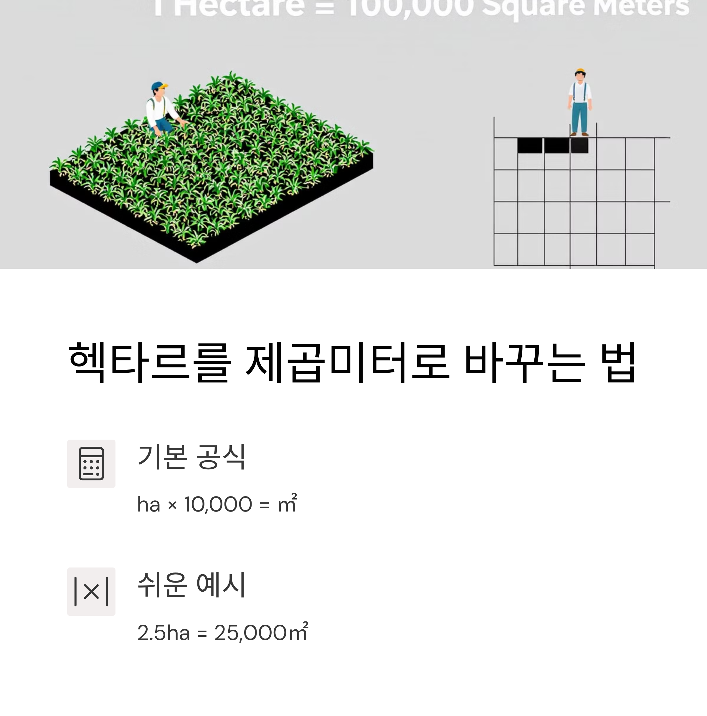 헥타르(ha)를 제곱미터로 환산