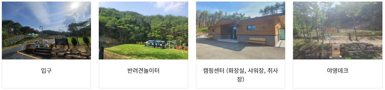 국립 김천 숲속야영장 예약방법 총정리