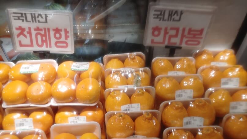 천혜향과 한라봉