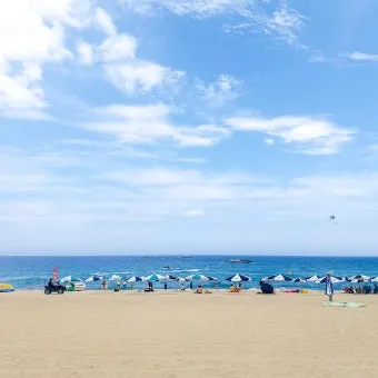 강원도 경포대 해수욕장과 강릉 가볼만한곳 best5 여행 자료집_4