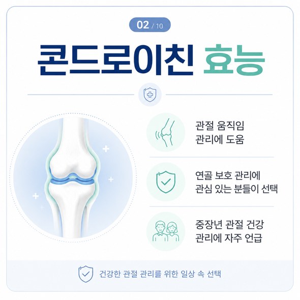 콘드로이친 효능
