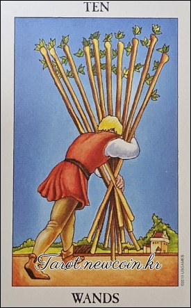 오늘의 타로 운세