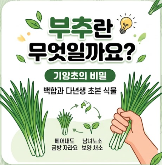 부추 효능