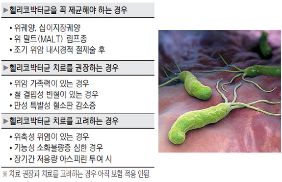 헬리코박터균 전염 확률 원인 경로 증상 검사 약 치료 예방 건강검진 총정리2