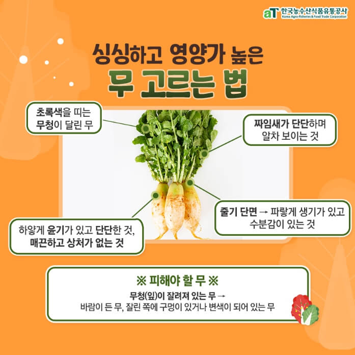 김장김치재료-좋은-무