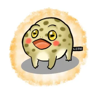 사막비개구리 구매 가격 분양 입양 방법 총정리 가이드북_18