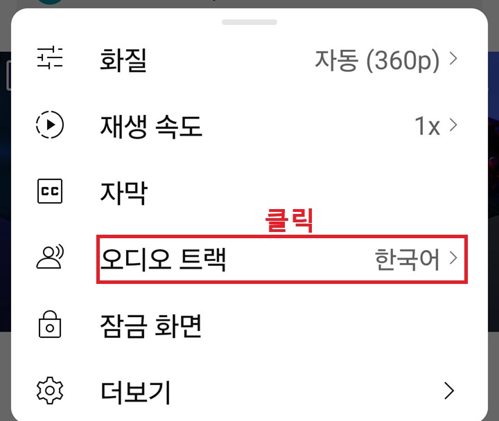 메뉴창에 오디오 트랙 보임