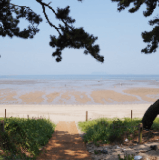 노루목 상사화길