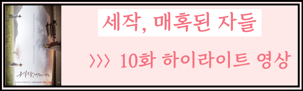 세작, 매혹된 자들 줄거리