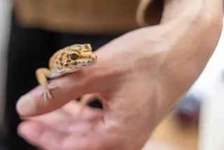 초등학생 생일선물