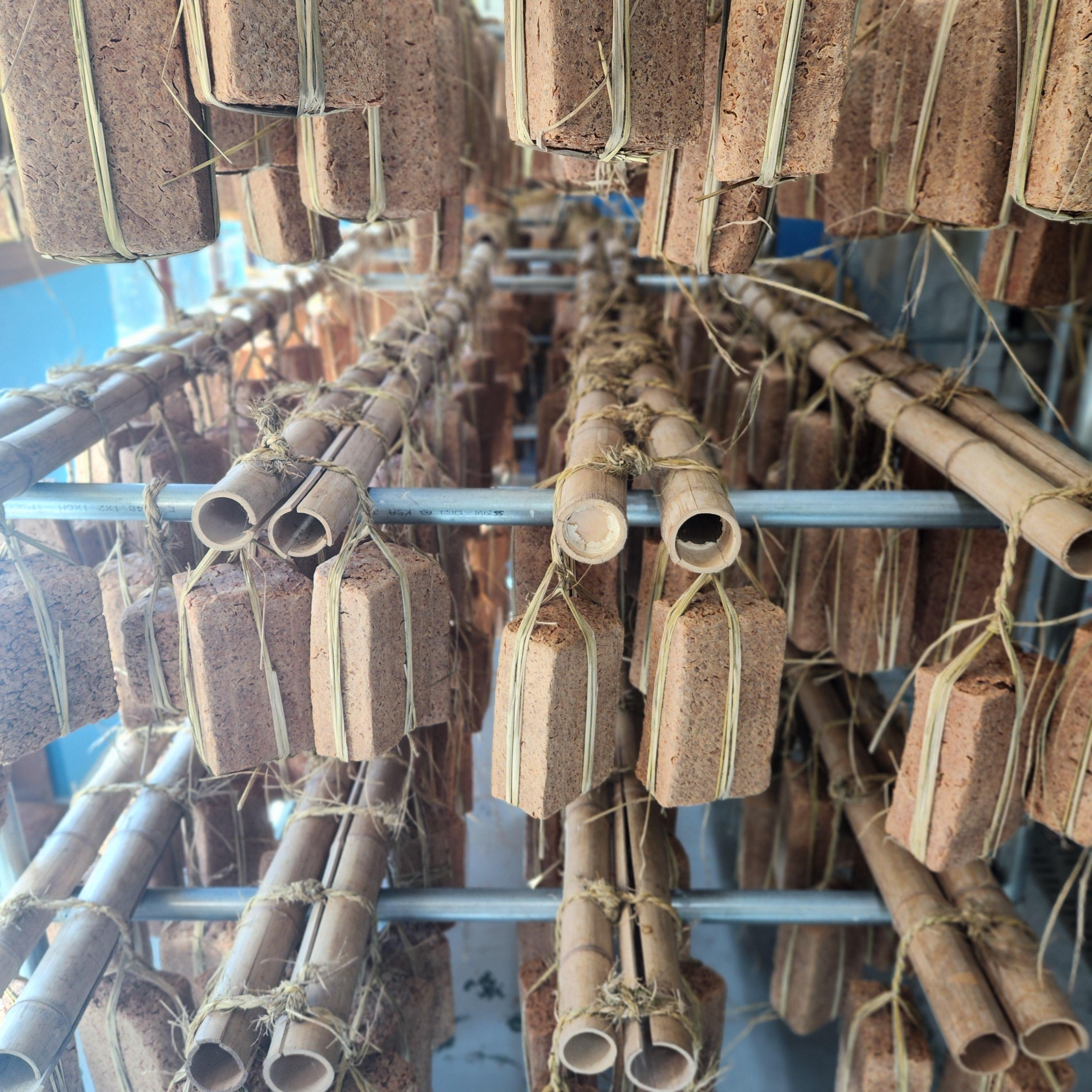 국산메주 예약판매 메주구입&amp;#44; 메주 1말가격