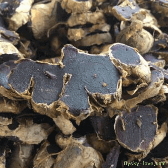 파비플로라, 흑생강 활용법