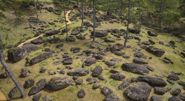 2025 화순 봄꽃 축제