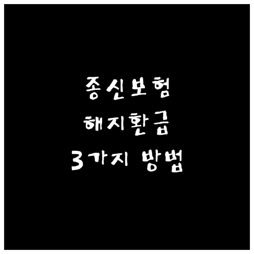 온라인, 전화, 방문으로 종신보험 해..