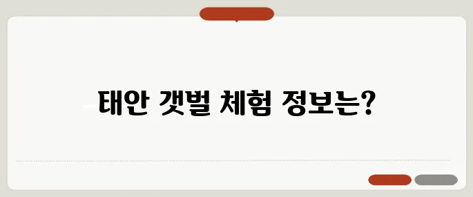 태안 물때표 확인하고 갯벌 체험 일정 잡기!
