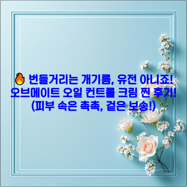 🔥 번들거리는 개기름, 유전 아니죠! 오브메이트 오일 컨트롤 크림 찐 후기! (피부 속은 촉촉, 겉은 보송!)