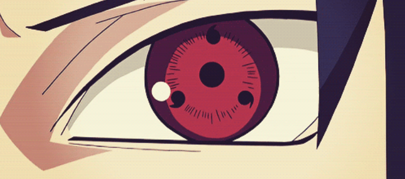 동공과다증 사륜안